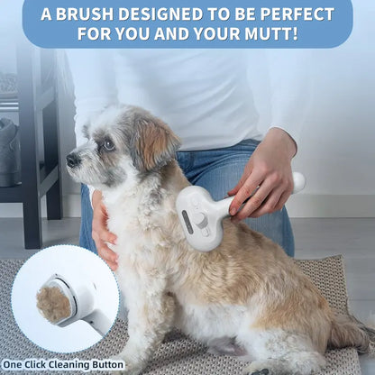 Pet Hair Removal Spray Brush